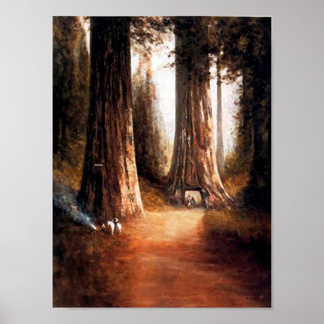 Giant Redwoods Poster (Front)