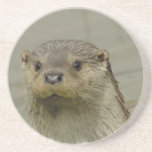 Giant River Otter  Coaster