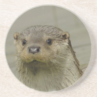Giant River Otter  Coaster