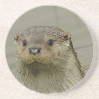 Giant River Otter  Coaster