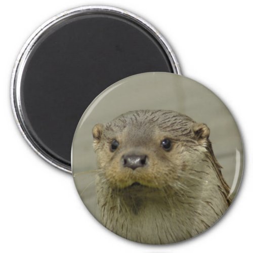 Giant River Otter Magnet