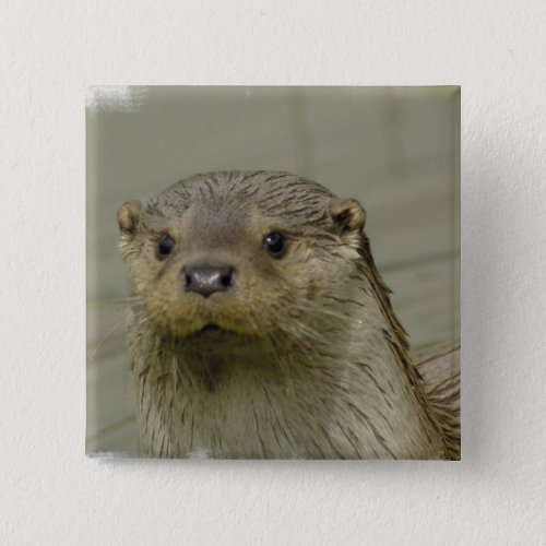 Giant River Otter Pin