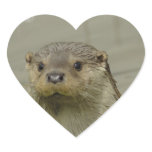 Giant River Otter Stickers