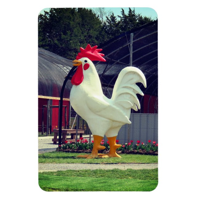 Giant Rooster Magnet (Vertical)