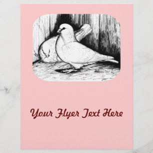 Giant Runt Pigeons Flyer