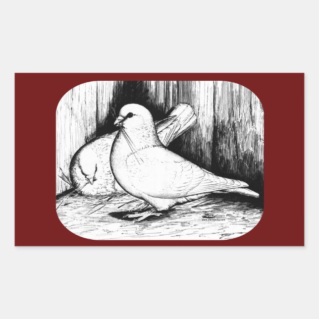 Giant Runt Pigeons Rectangular Sticker (Front)