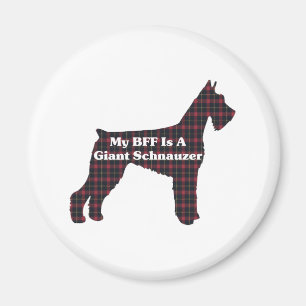 Giant Schnauzer BFF Magnet