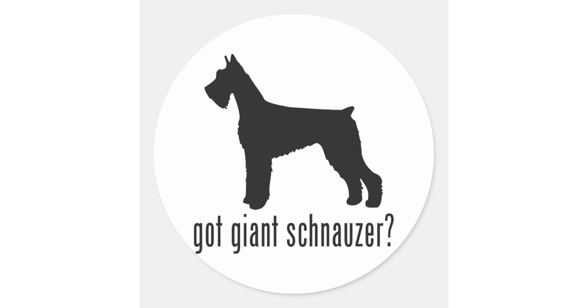 Giant Schnauzer Classic Round Sticker | Zazzle