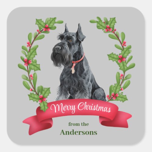 Giant Schnauzer Dog Holly Banner Christmas Square Sticker