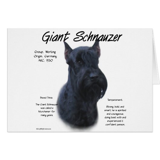 Giant Schnauzer History Design Cards (Front Horizontal)