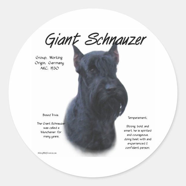 Giant Schnauzer History Design Classic Round Sticker (Front)