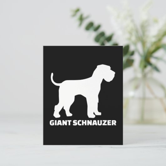 giant schnauzer premium (Standing Front)