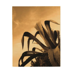 Giant Sepia Aloe Cactus Plant Photograph Wood Wall Art
