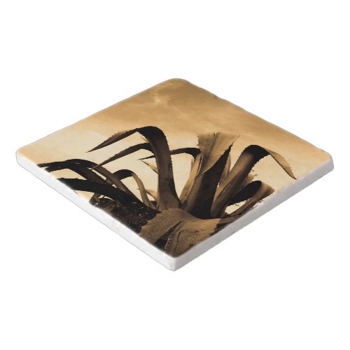 Giant Sepia Aloe Plant Trivet