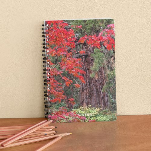 Giant Sequoia and Red Maple Leaves Notebook