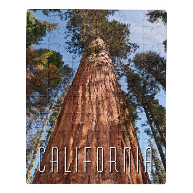 Giant Sequoia Ascends Jigsaw Puzzle (Puzzle Vertical)