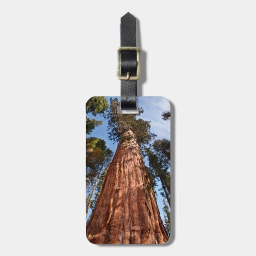 Giant Sequoia Ascends Luggage Tag