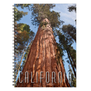 Giant Sequoia Ascends Notebook