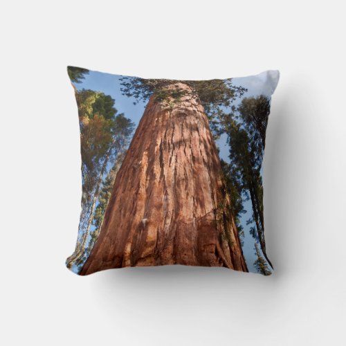 Giant Sequoia Ascends Throw Pillow