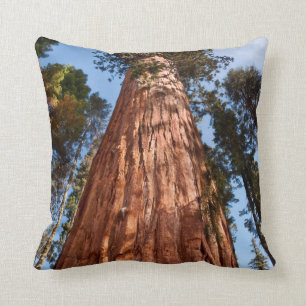 Giant Sequoia Ascends Throw Pillow