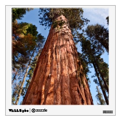 Giant Sequoia Ascends Wall Decal