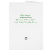 Giant Sequoia Cards (Back)