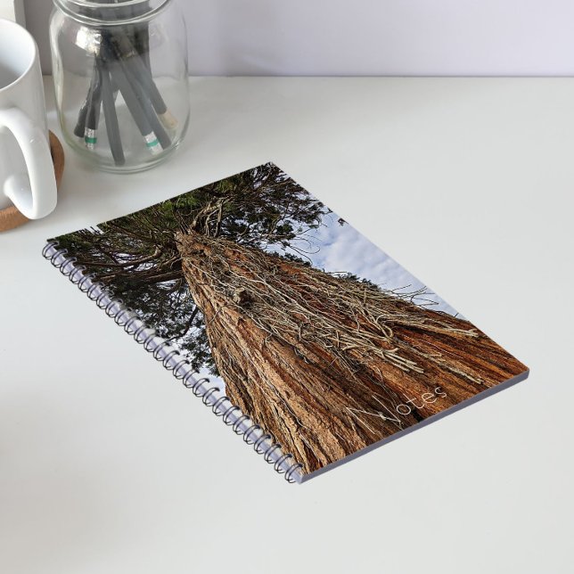 Giant Sequoia Tree Root Tendrils Notebook (In Situ)