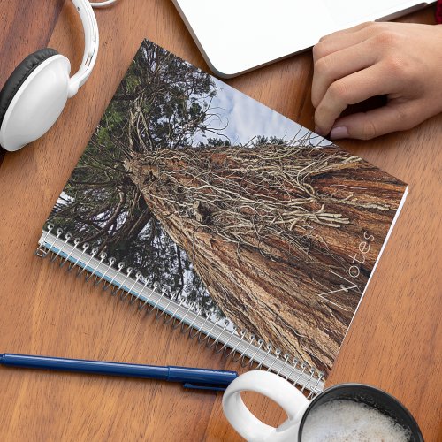 Giant Sequoia Tree Root Tendrils Notebook