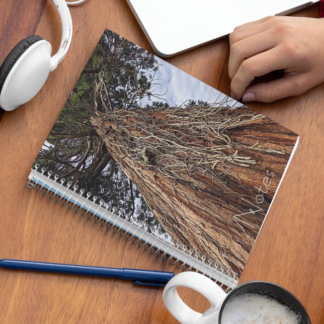 Giant Sequoia Tree Root Tendrils Notebook (In Situ)