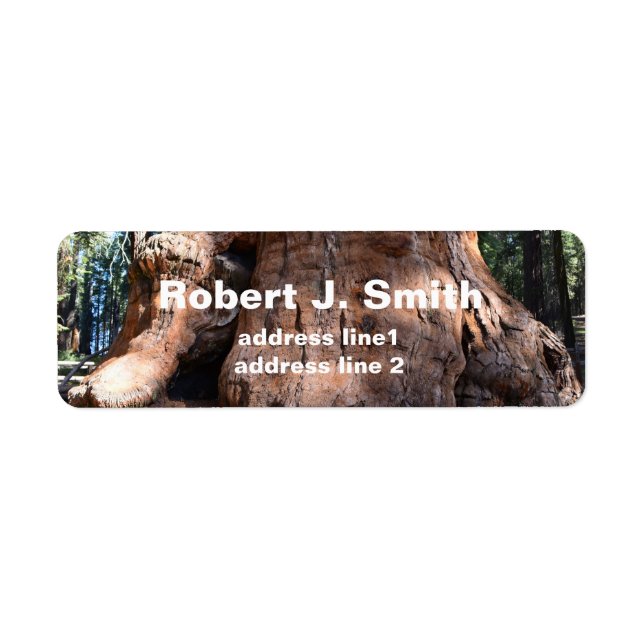 Giant sequoia tree trunk  personal address labels. label (Front)