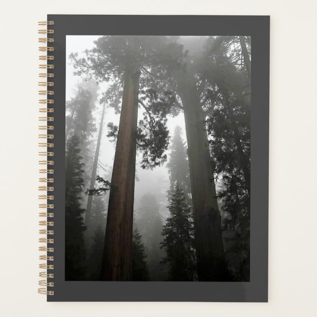 Giant Sequoia Trees in the Fog, CA Planner (Front)