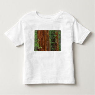 Giant Sequoia trunks in forest, Yosemite Toddler T-shirt