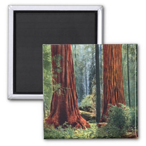 Giant Sequoia Trunks Magnet