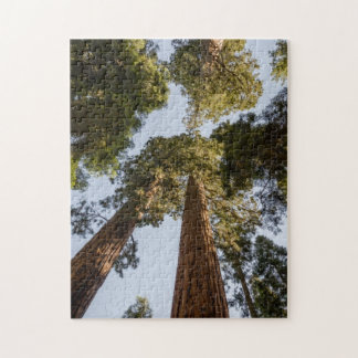 Giant Sequoias in Sequoia National Park Jigsaw Puzzle