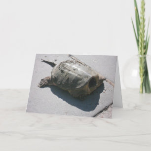 "Giant Snapping Turtle" Birthday Card
