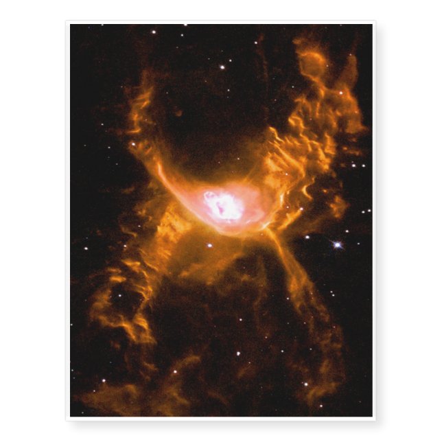 Giant Spider Nebula | Spider Lovers Gift Temporary Tattoos (Front)
