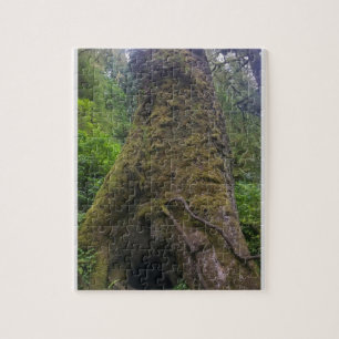 Giant Spruce Tree, Cape Perpetua, Oregon Jigsaw Puzzle