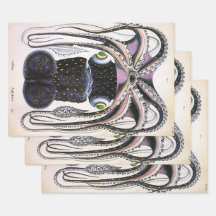 Giant Squid or Octopus, Vintage Marine Life Animal Wrapping Paper Sheets