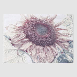 Giant Sunflower Pastel Blush Pink Green Vintage Tissue Paper