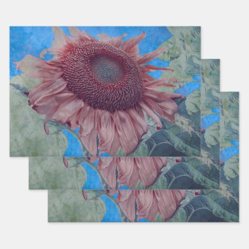 Giant Sunflower Rustic Country Pink Blue Decoupage Wrapping Paper Sheets