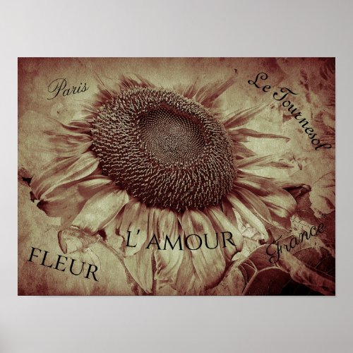 Giant Sunflower Sepia Brown Vintage Ephemera Poster