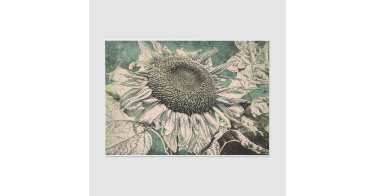Giant Sunflower Vintage Green Beige Decoupage Tissue Paper | Zazzle