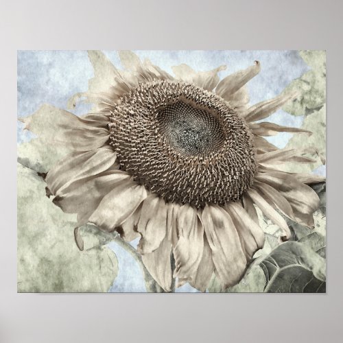 Giant Sunflower Yellow Pastel Chic Vintage Antique Poster