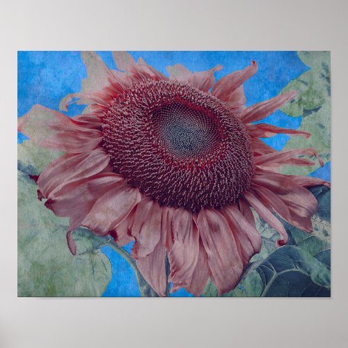 Giant Sunflowers Country Pink Blue Decoupage Art Poster