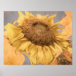 Giant Sunflowers Country Yellow Grey Decoupage Art Poster