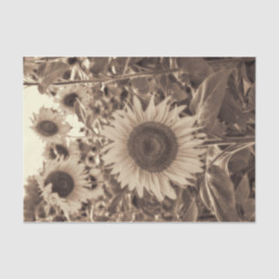 Giant Sunflowers Field Vintage Sepia Decoupage Tissue Paper