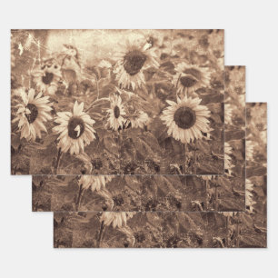 Giant Sunflowers Floral Sepia Texture Decoupage Wrapping Paper Sheets