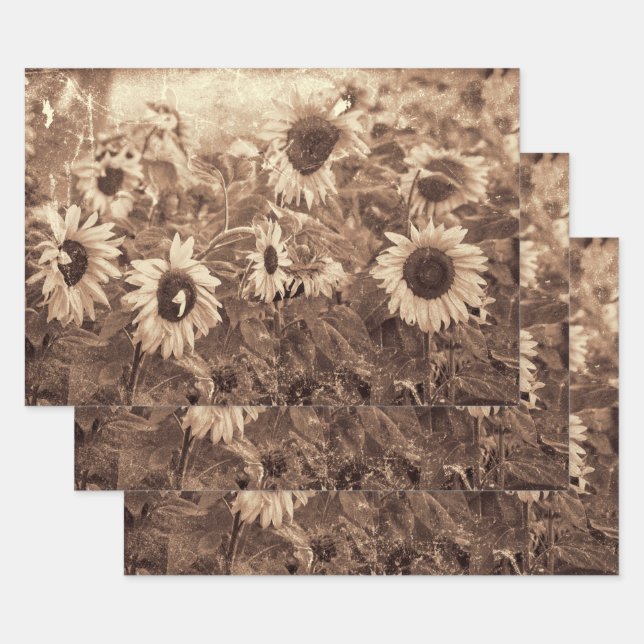Giant Sunflowers Floral Sepia Texture Decoupage Wrapping Paper Sheets (Set)