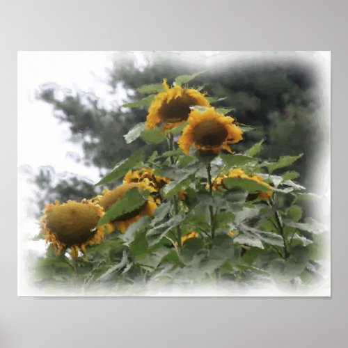 Giant Sunflowers Photo Watercolor Painting Poster