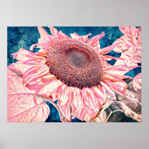 Giant Sunflowers Pink Teal Blue Vintage Poster